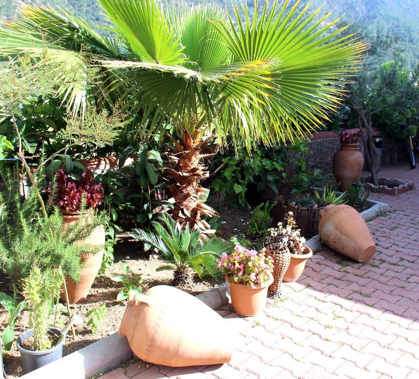 Apartamento Adrasan Shambala Exterior foto